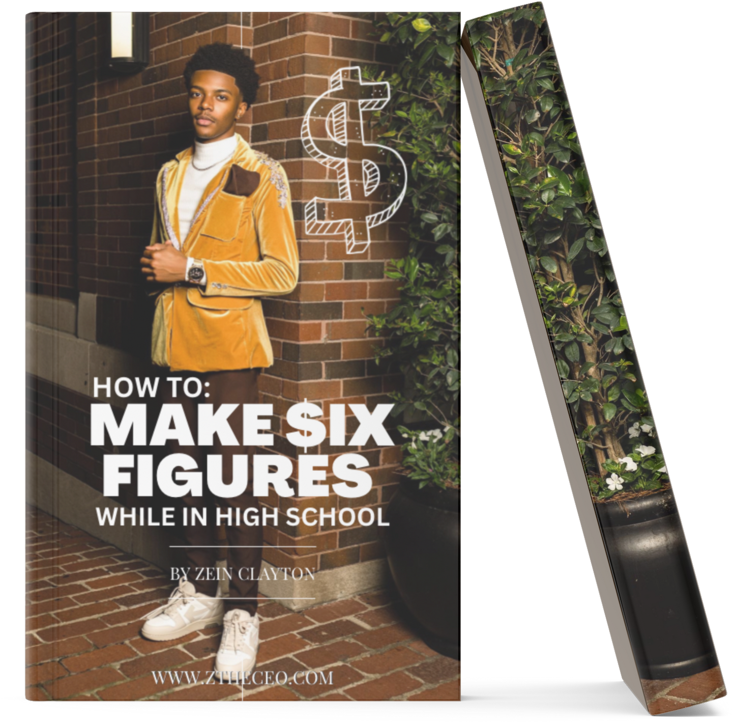 How to make SIX FIGURES (ANY AGE)